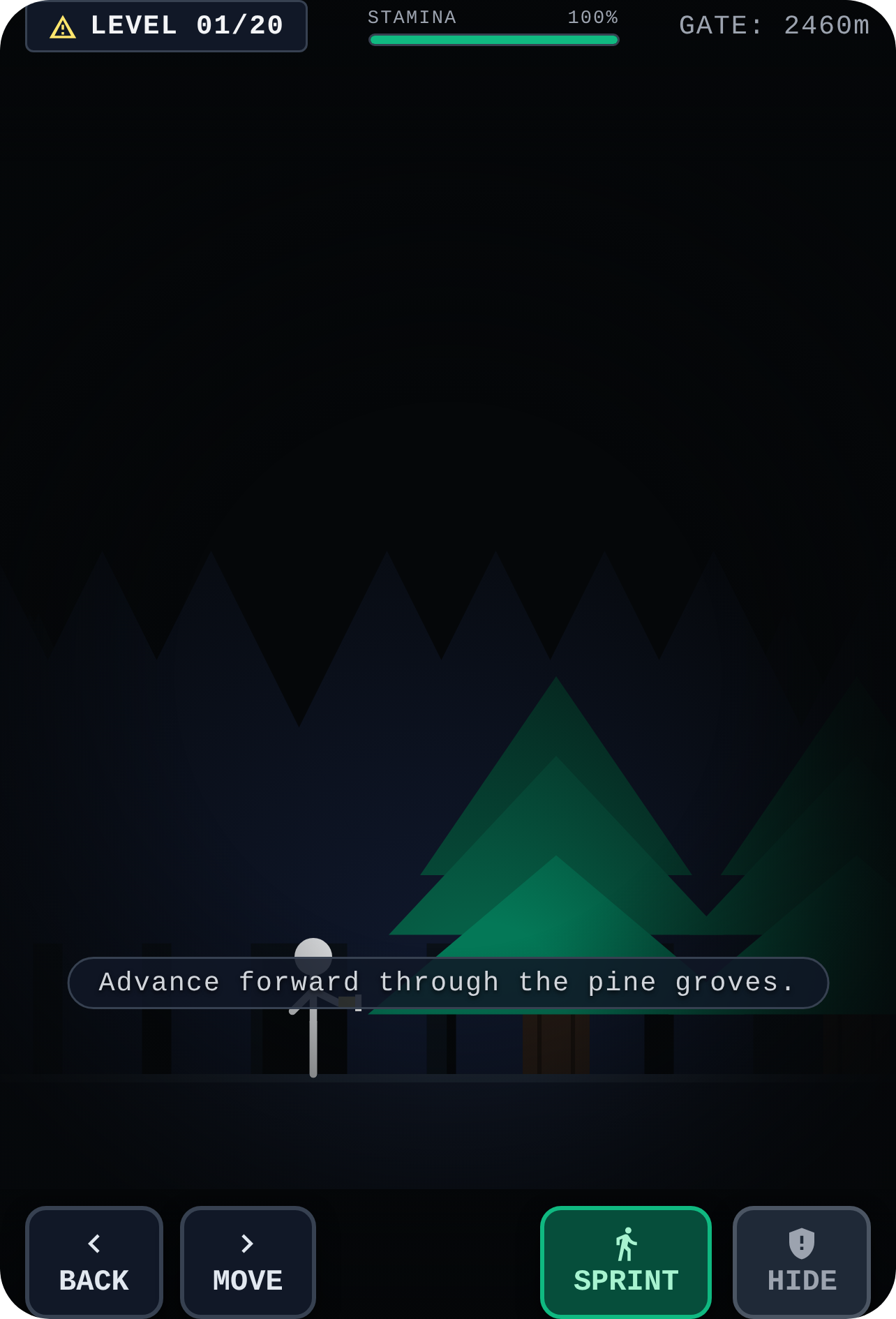 Darkwood Anomaly: 20 Levels cover