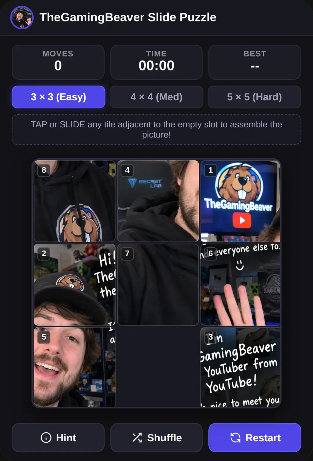 TheGamingBeaver Slide Puzzle cover