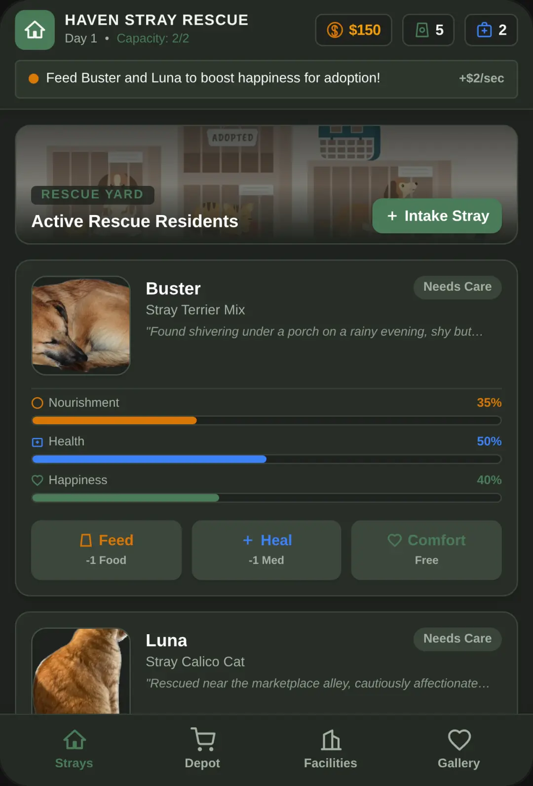 Haven Stray Rescue Shelter cover