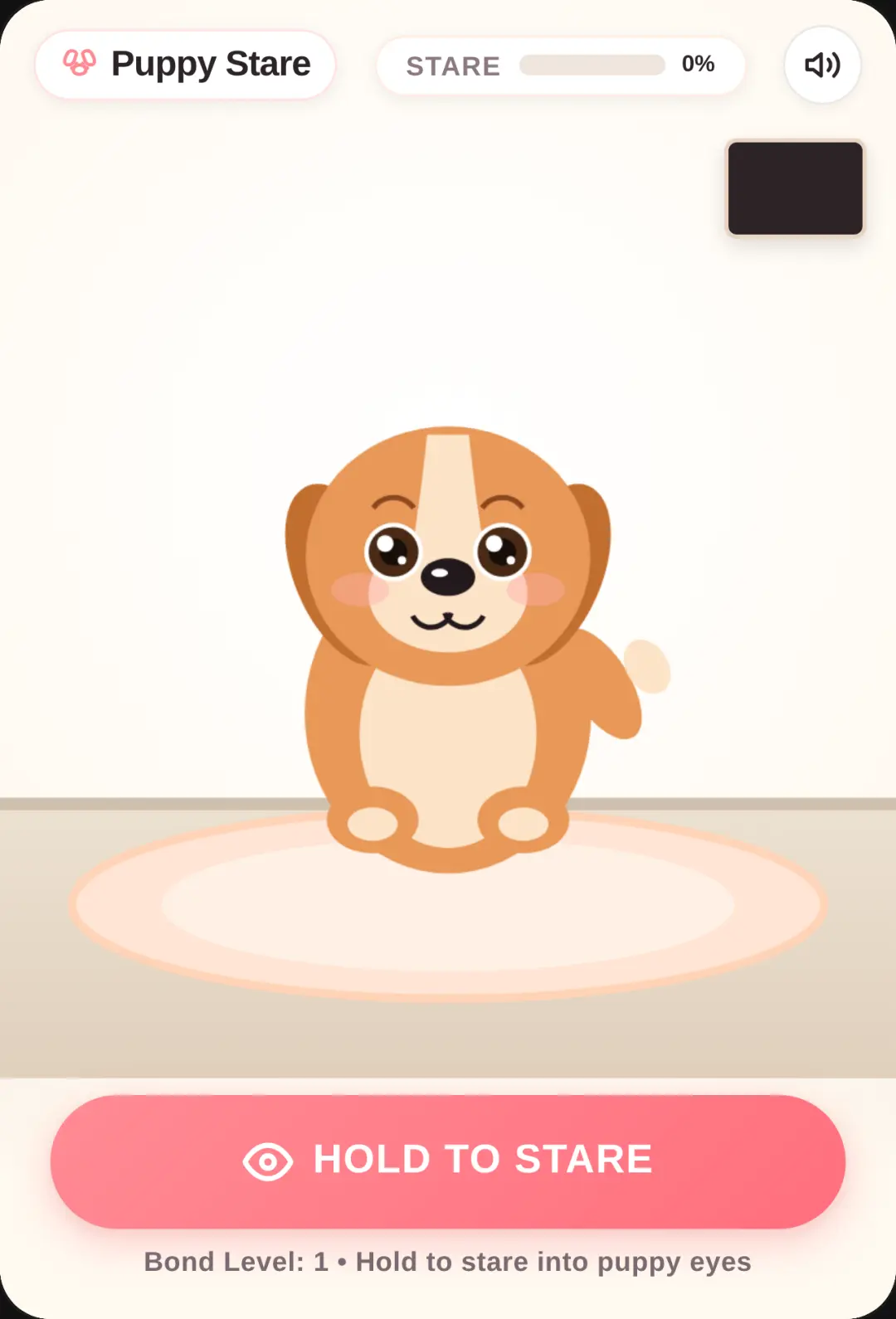 Puppy Stare cover
