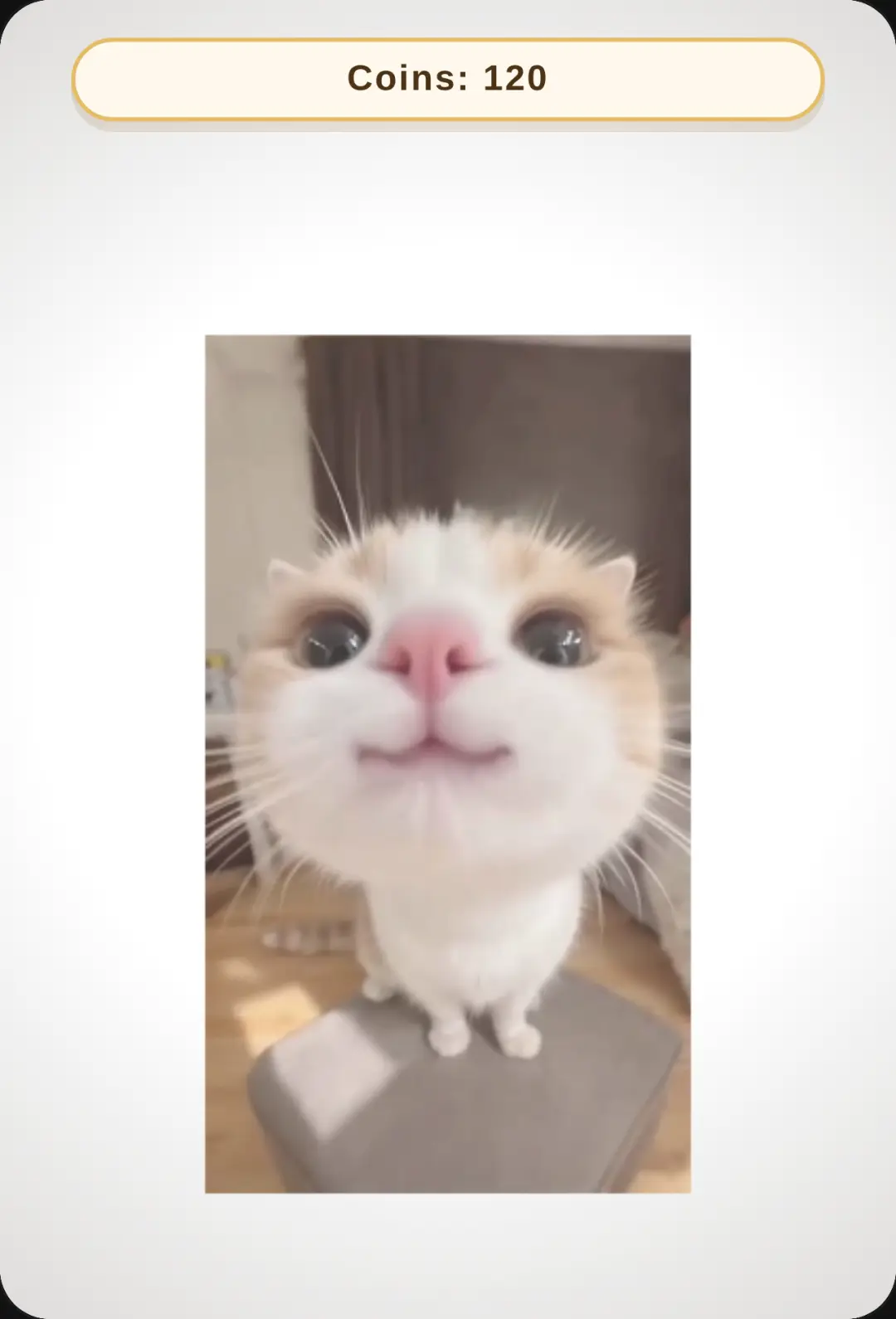 Pet the Cat cover
