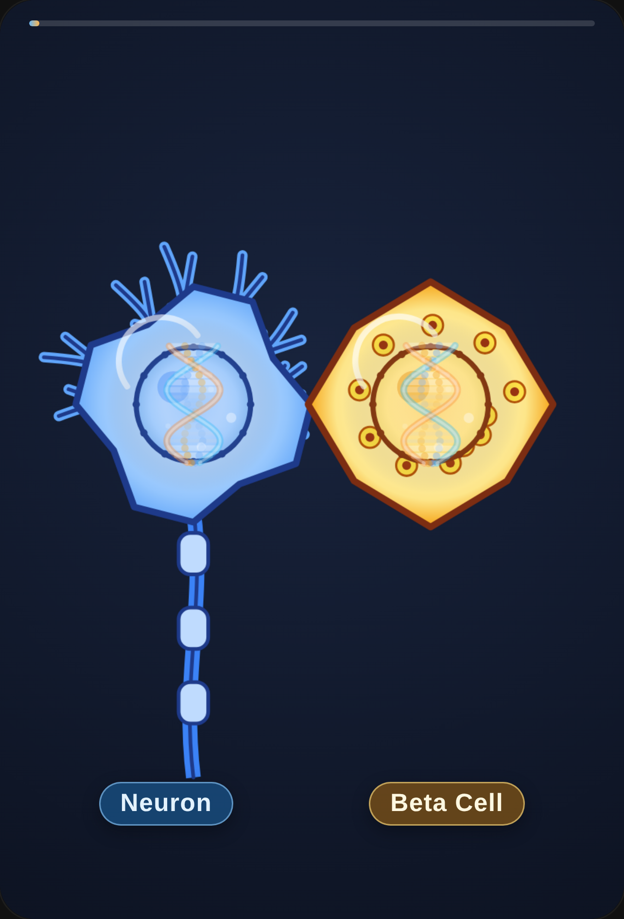 Neuron and Beta Cell Animation cover