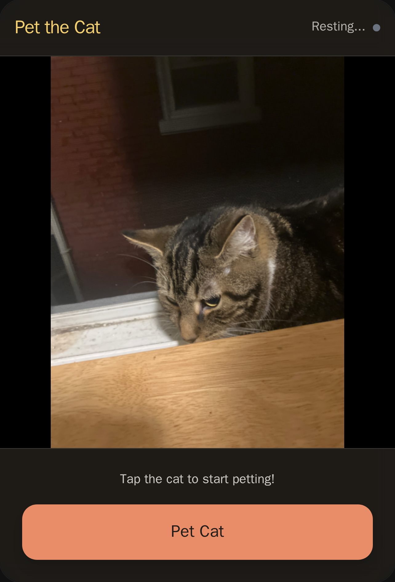 Pet the Cat cover