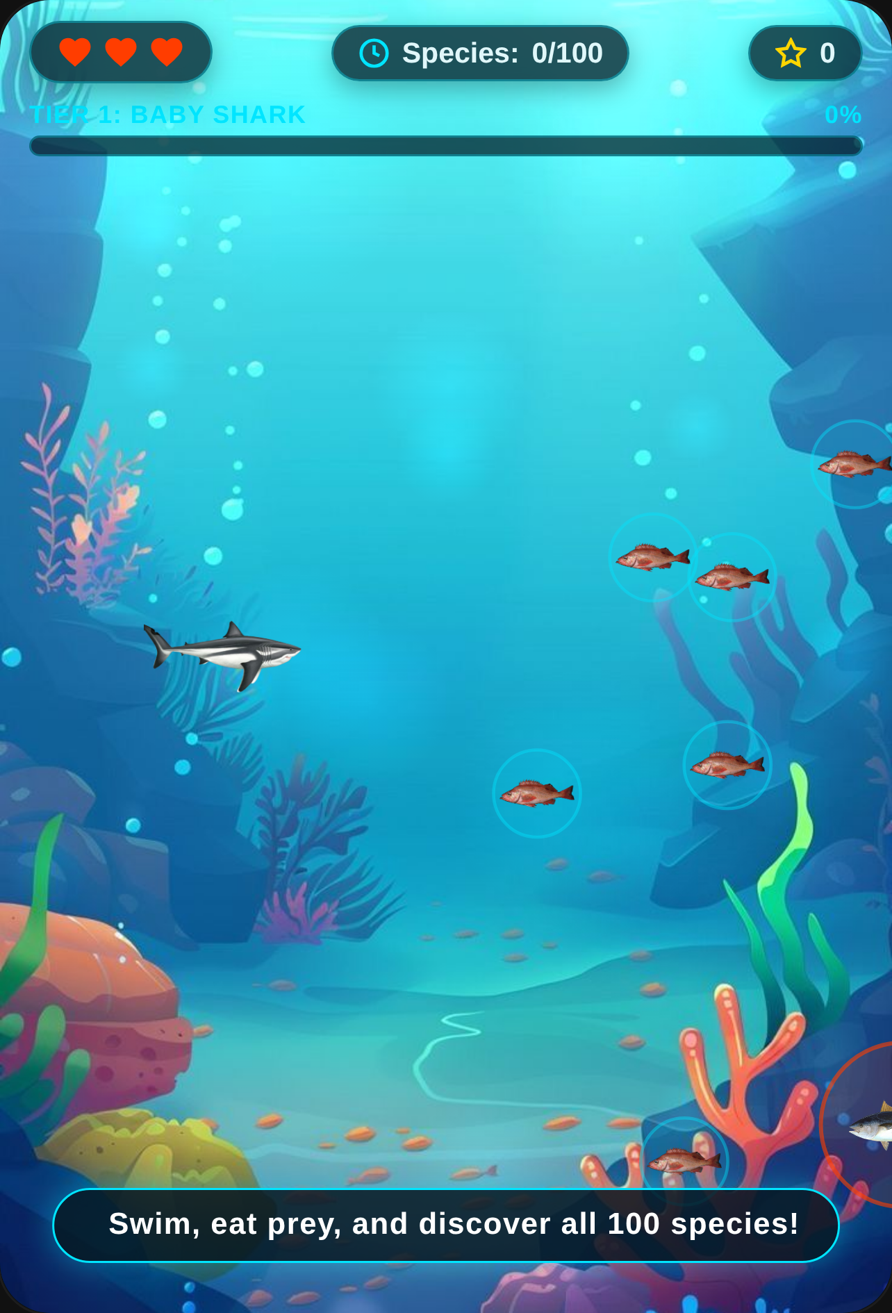 Shark Evolution - Reef Hunter cover