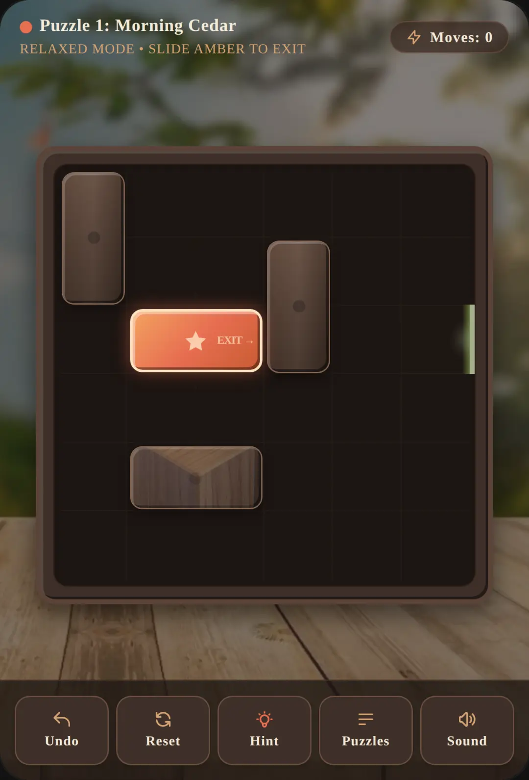 Puzzle Box: Amber Escape cover