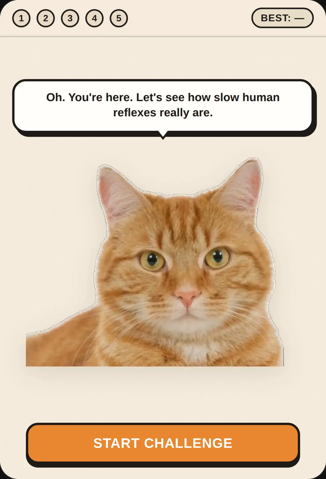 Grumpy Cat Reaction Test cover