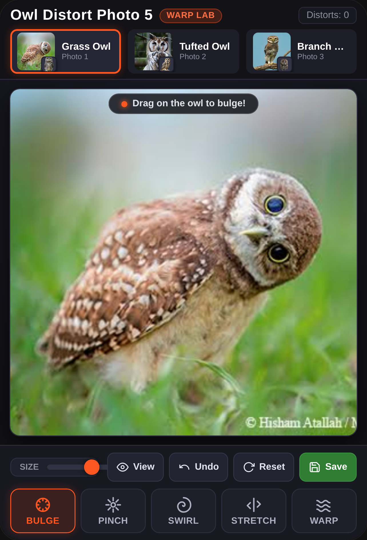 Owl Distort Photo 5 cover