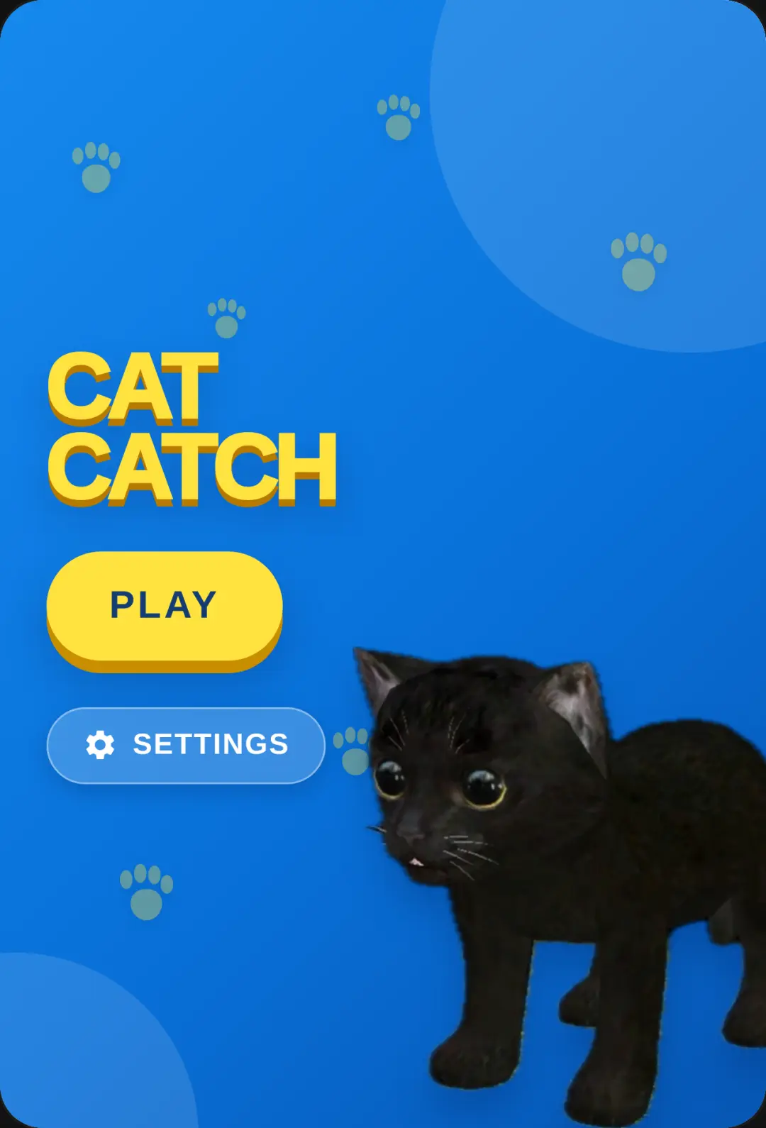 cat run and catch cover