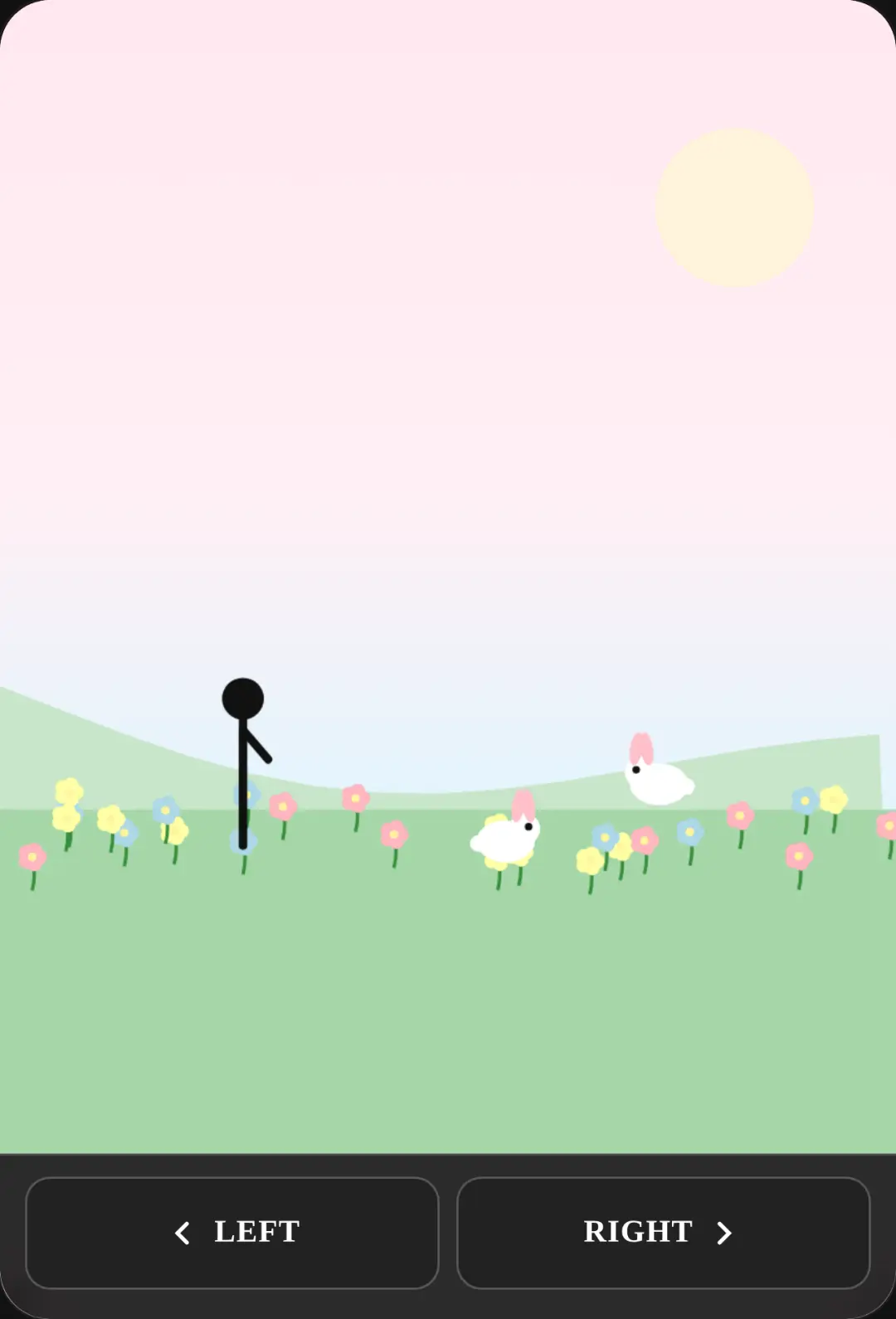 The Flower Field. cover