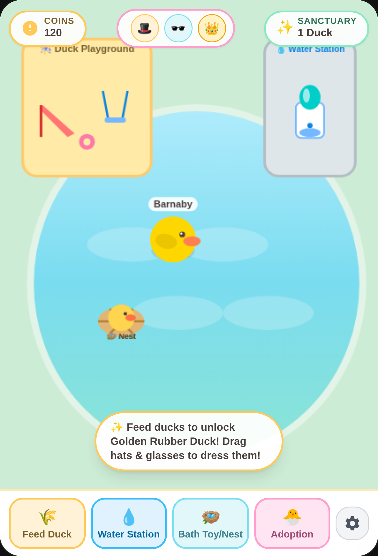 Duck Sanctuary - Golden Transformation & Playground cover