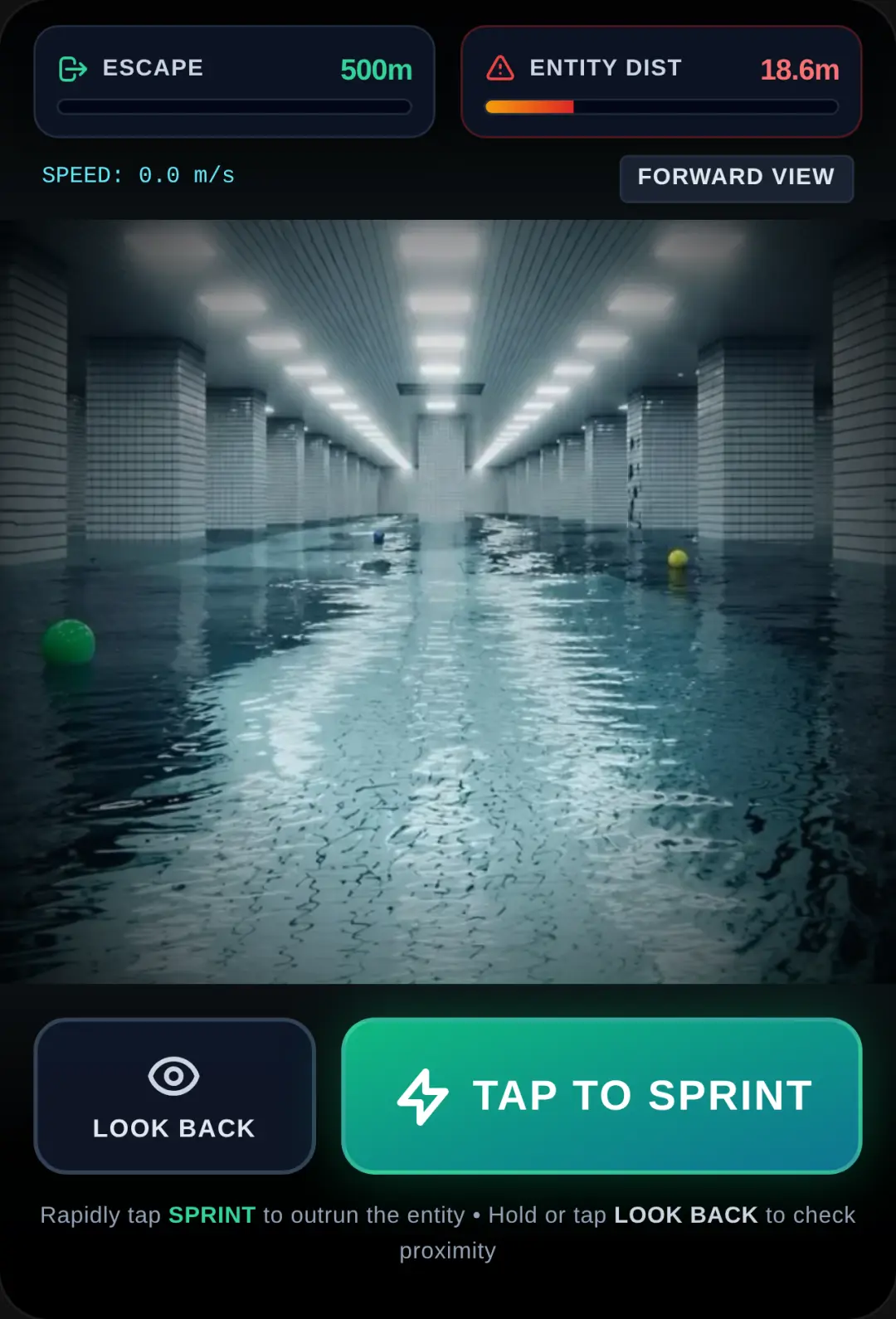 Poolrooms: Entity Chase cover