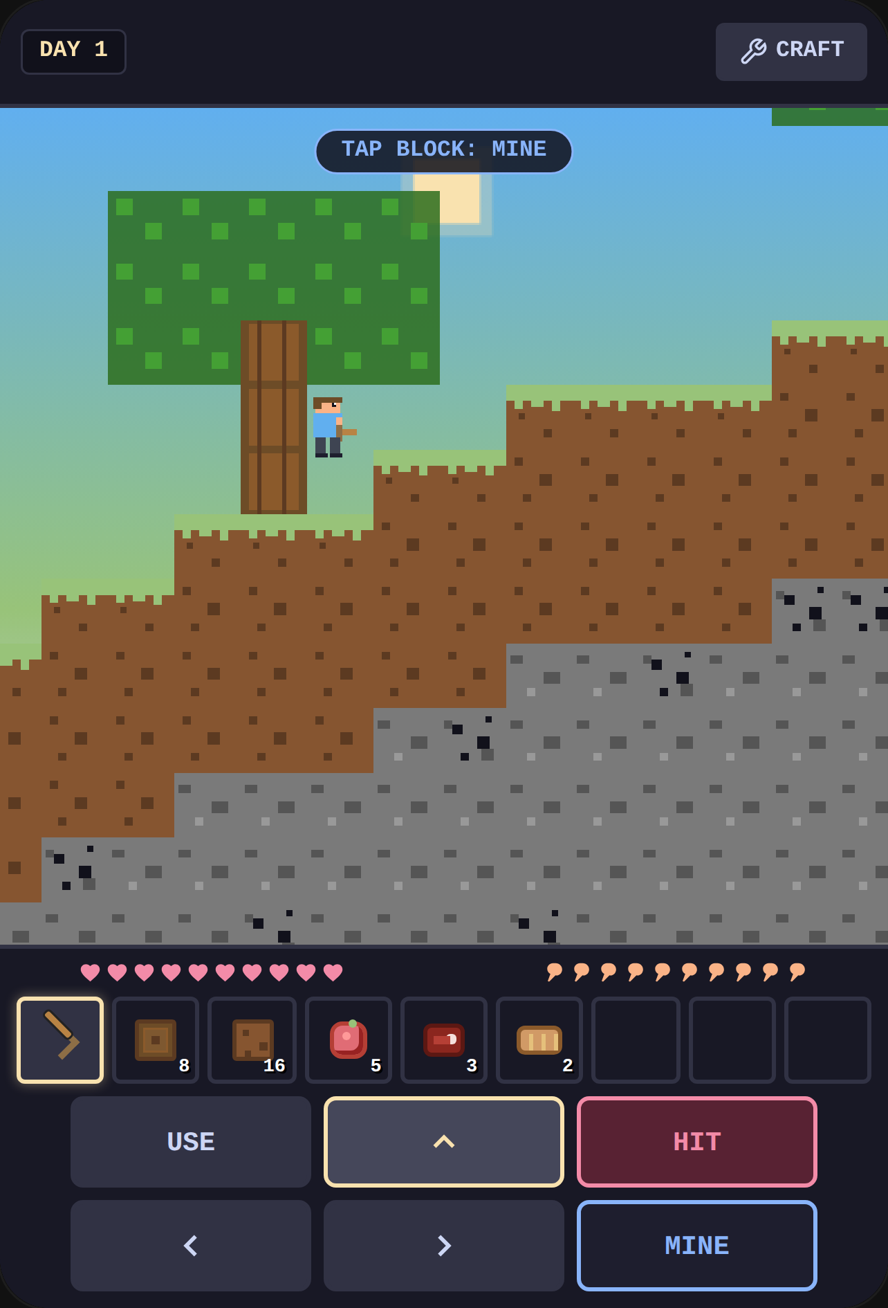 Minicraft cover