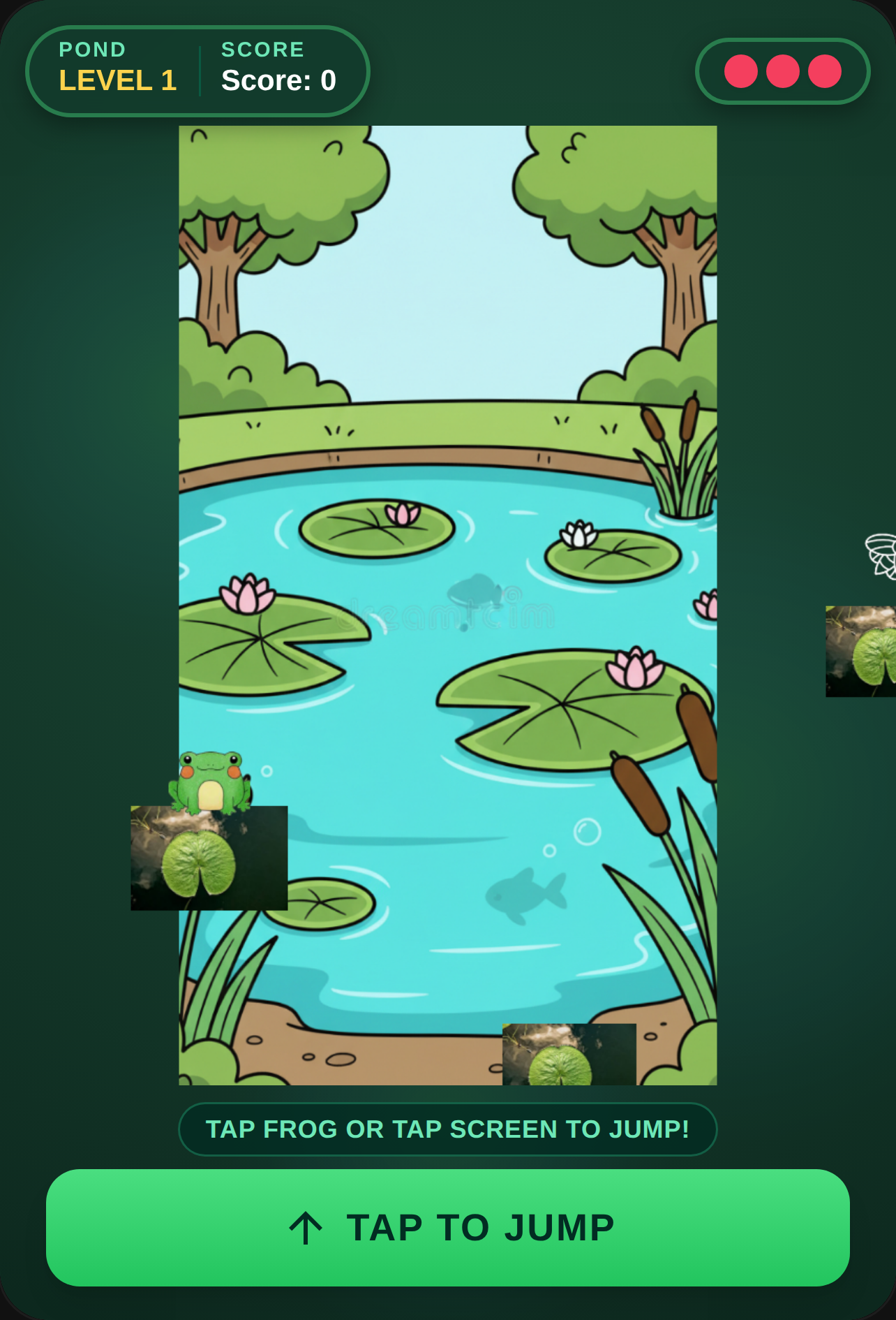 Frog Pond Leap cover