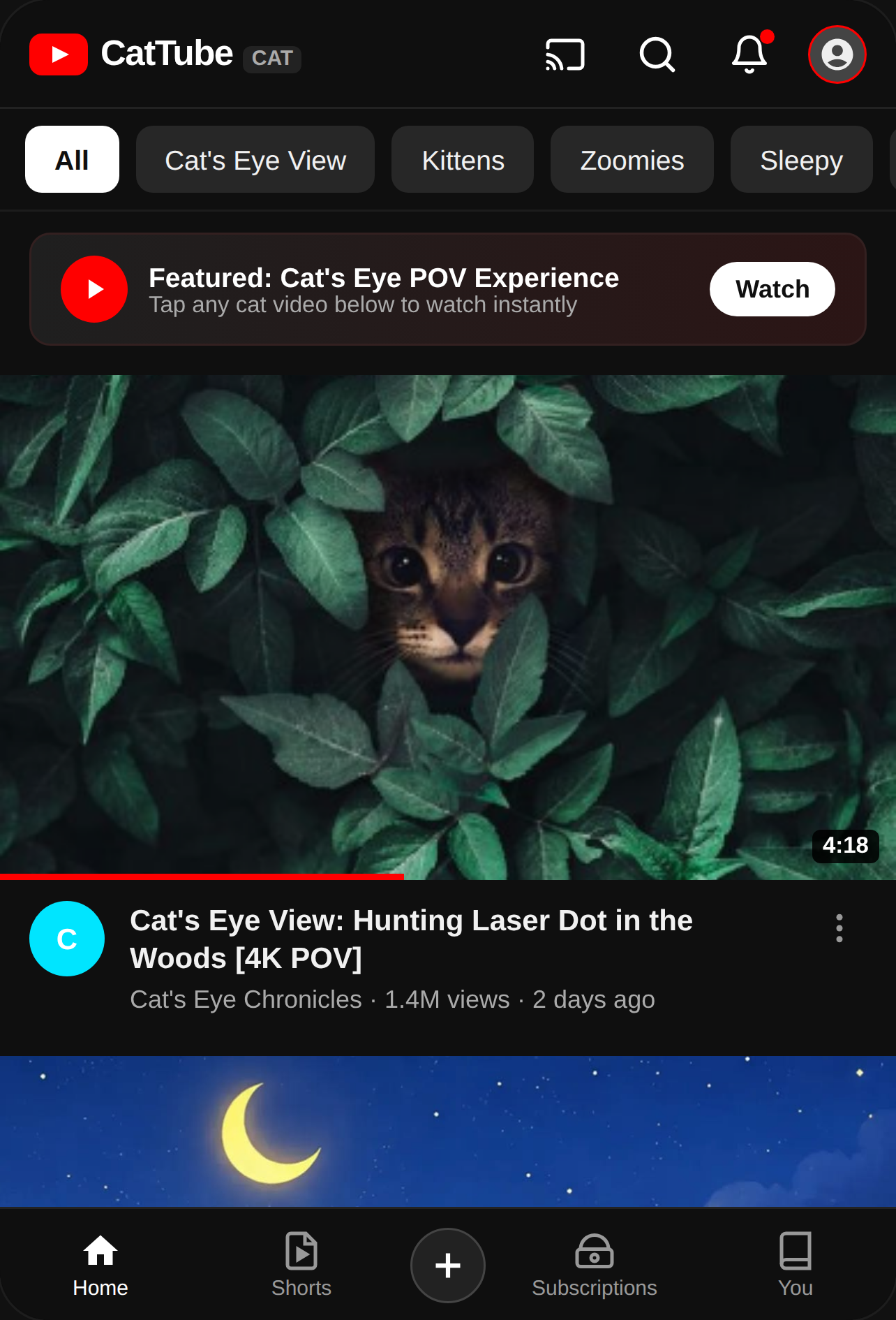 CatTube - Cat Videos cover