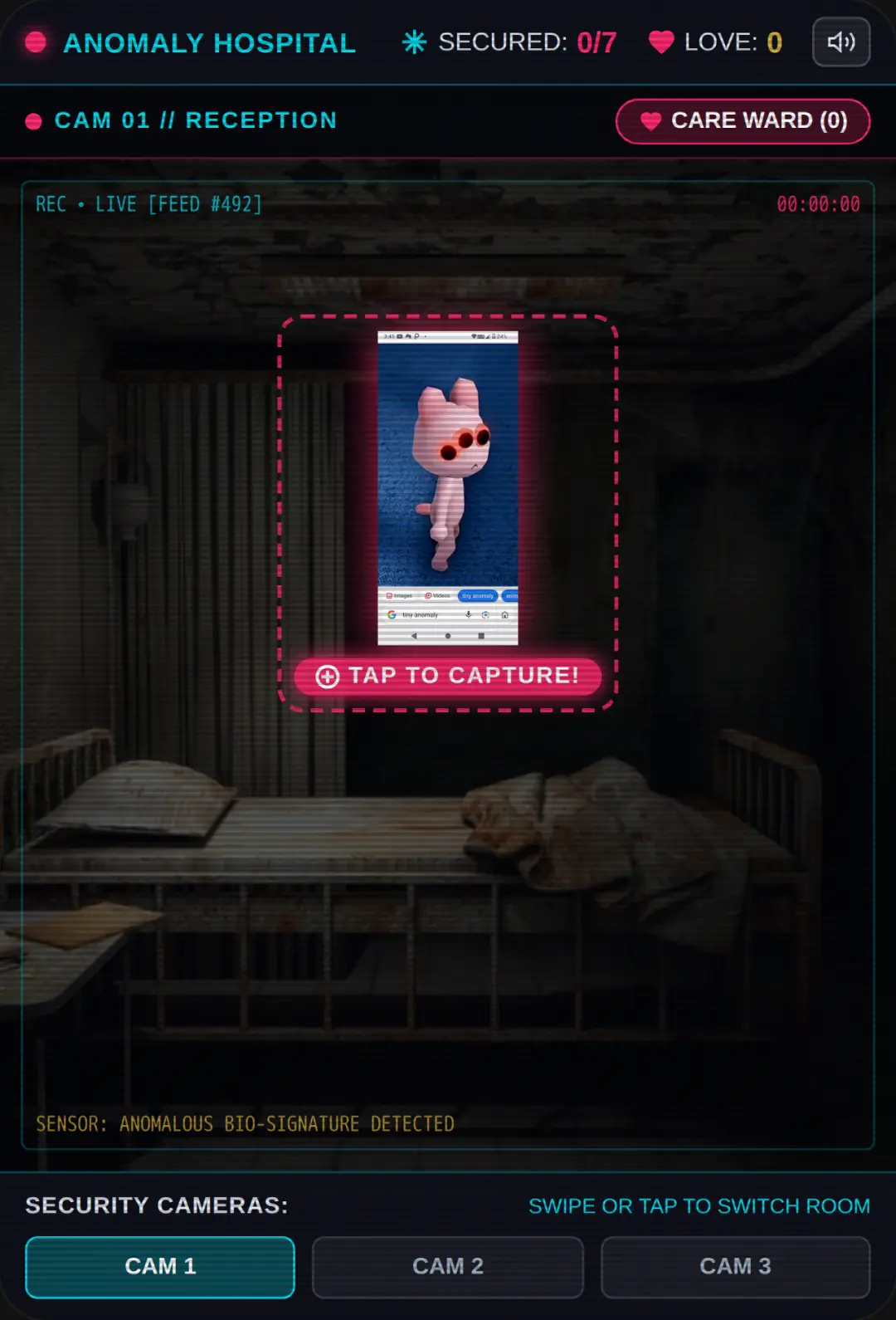 Animal Hospital Anomalies cover