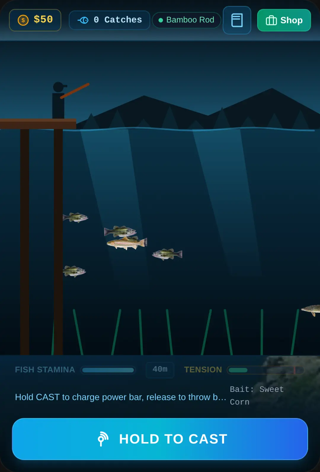 Lake Fishing 2D cover