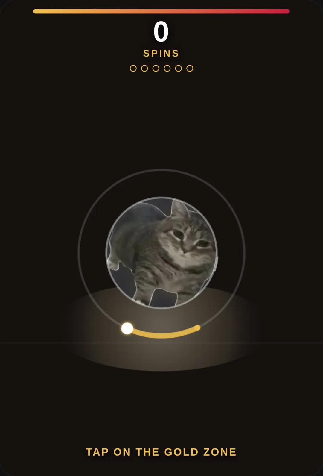 Spinning Cat & MJ cover