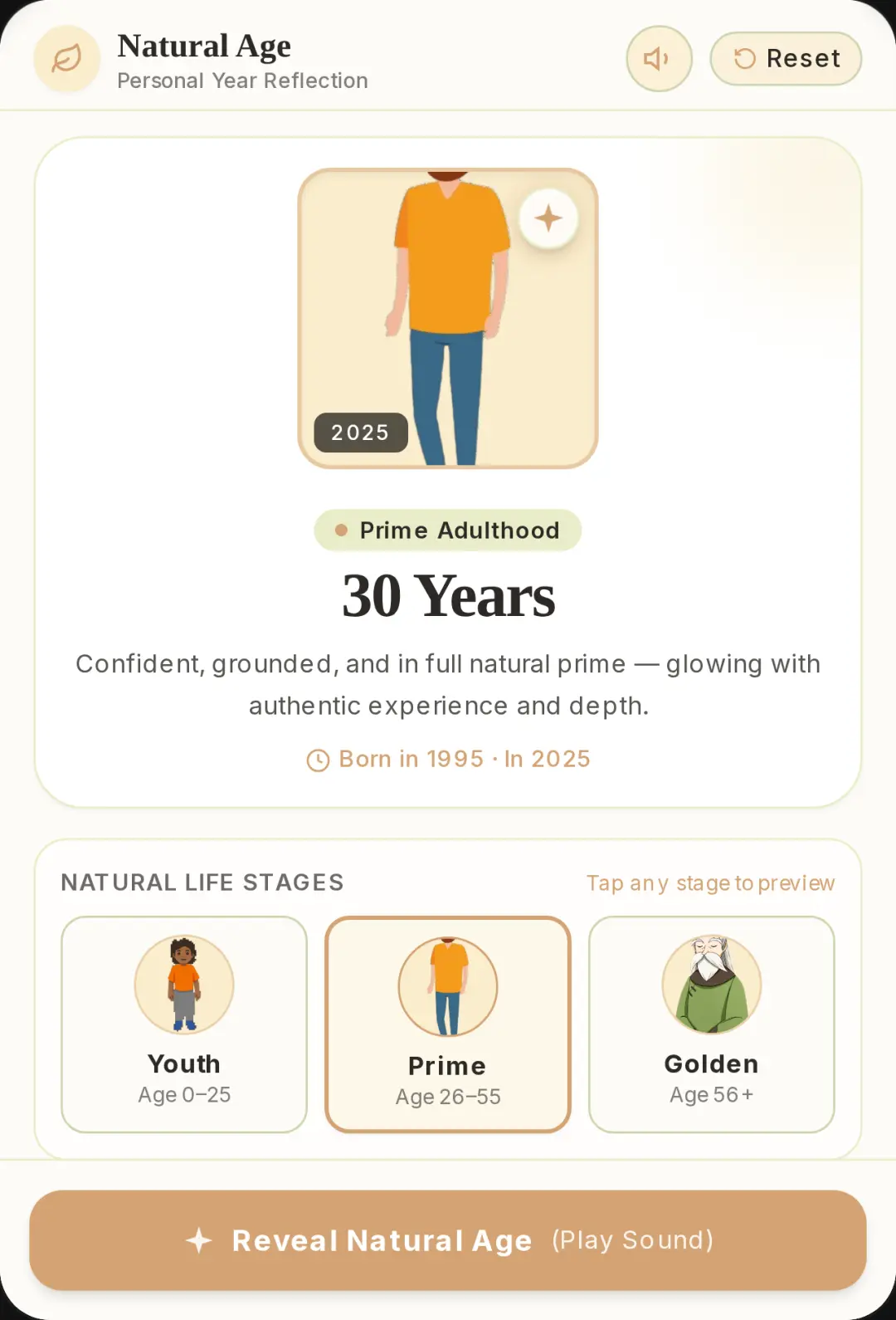 Natural Age Reflection cover