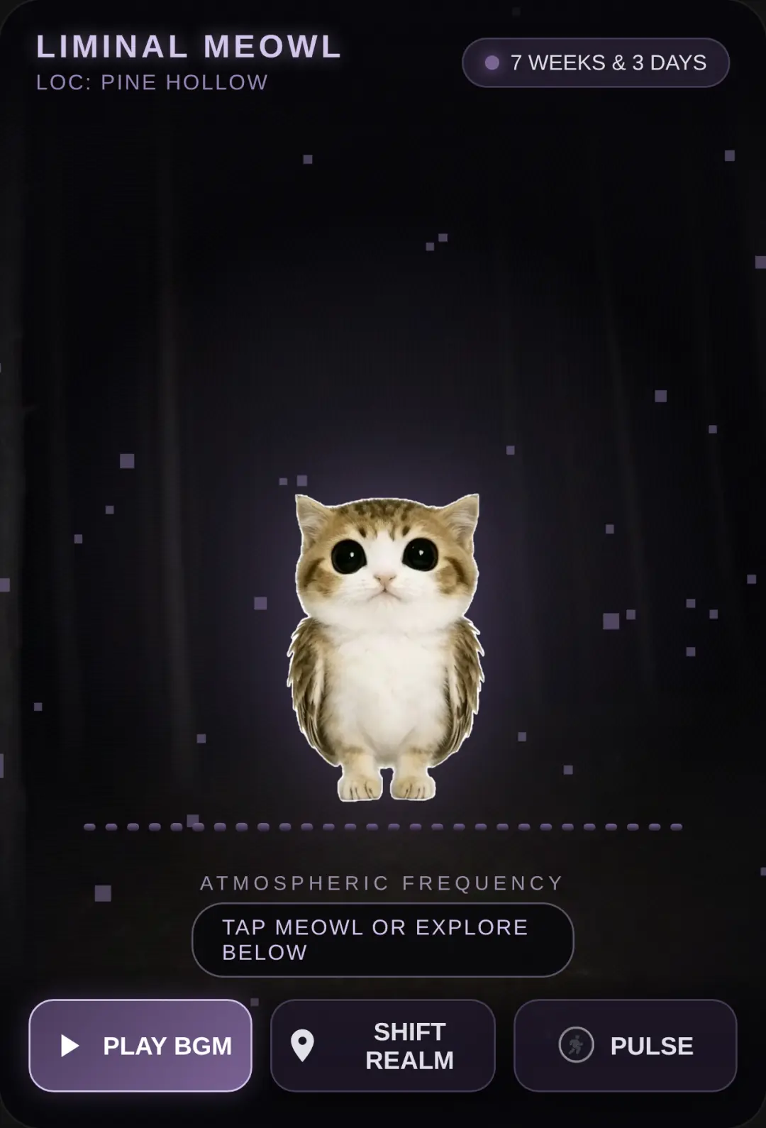 Liminal Shadows: Meowl cover