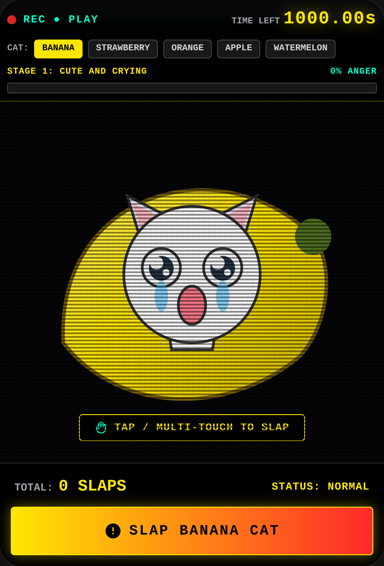 Slap the cat cover