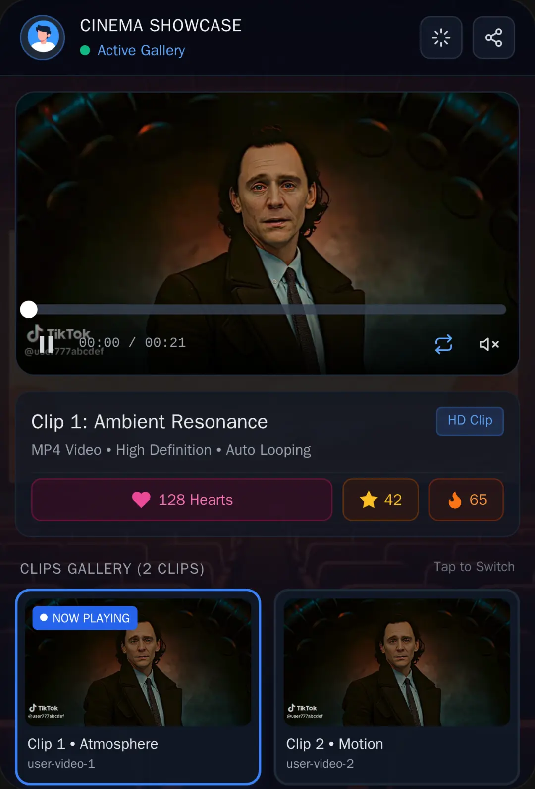 Cinematic Video Gallery cover