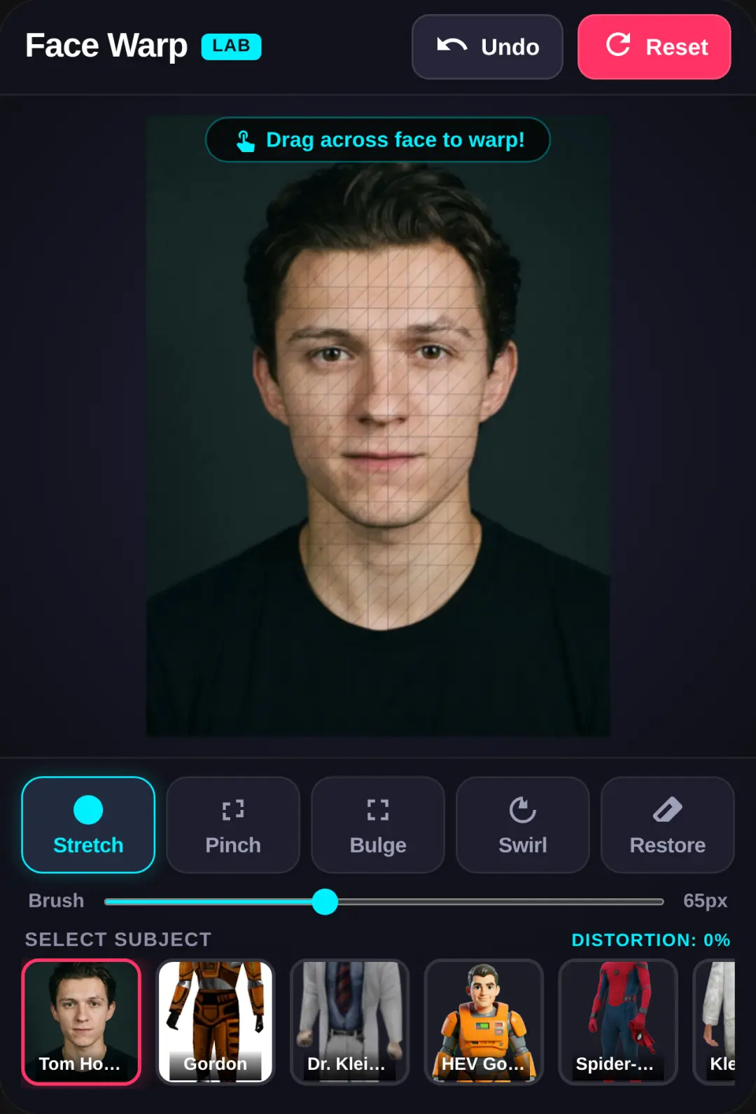Face Warp Lab cover
