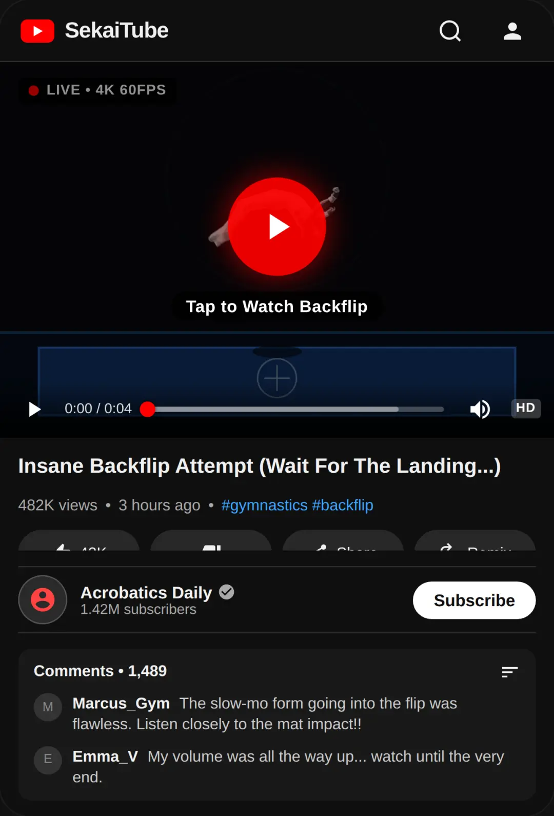 Epic Backflip Attempt (Gone Wrong?) cover