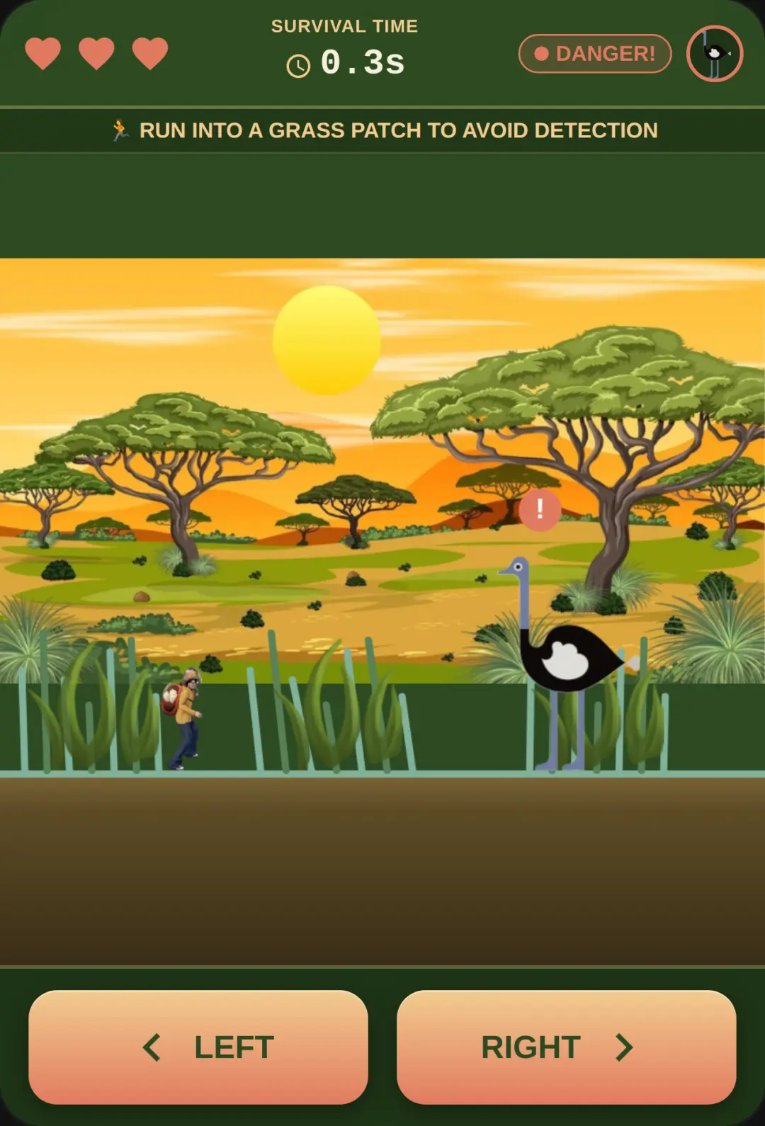 Ostrich Survival cover
