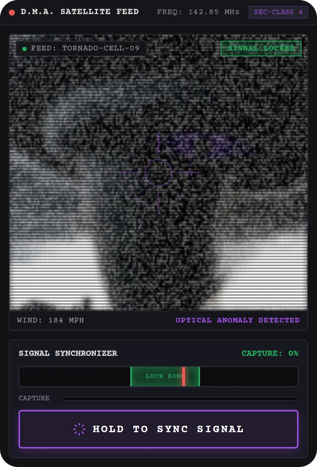 Storm Chaser: Anomaly Report cover