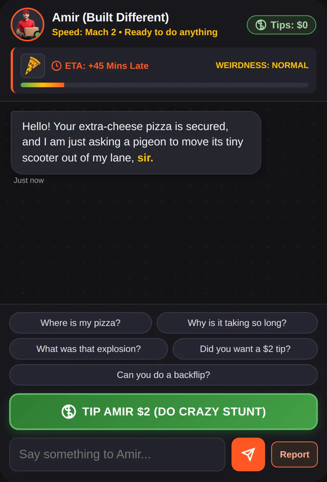 Chat with Amir: Pizza Delivery cover