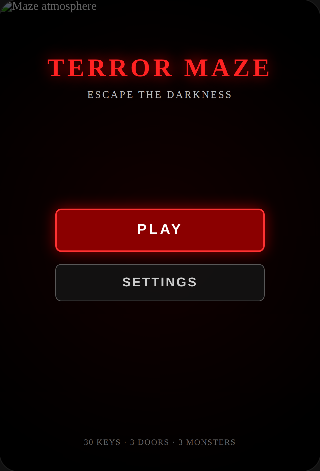 Terror Maze 3D cover