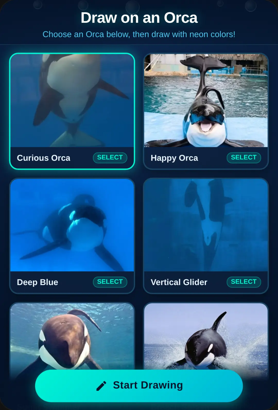 Draw on an Orca 3 cover