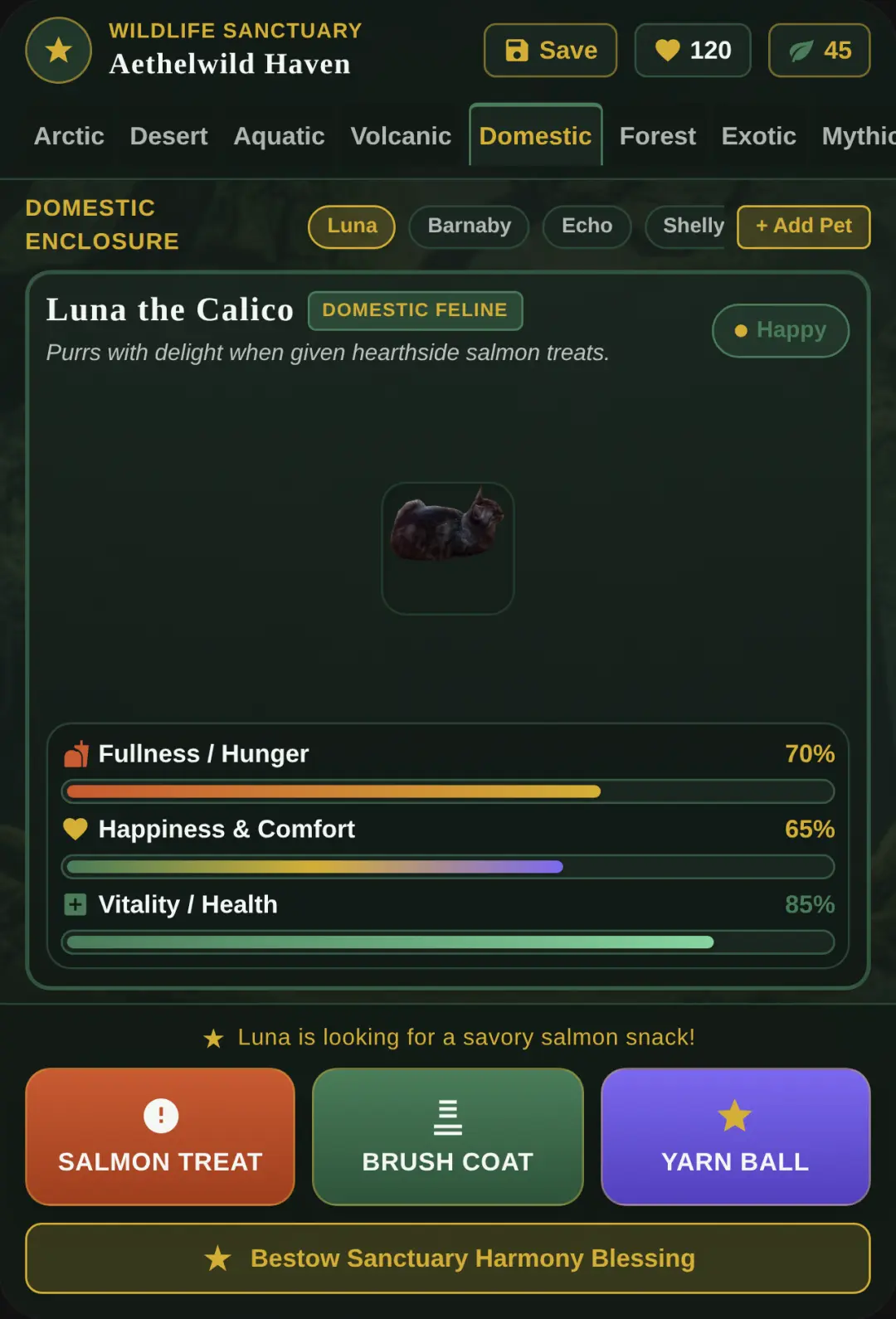 Sanctuary - Care for Animals cover