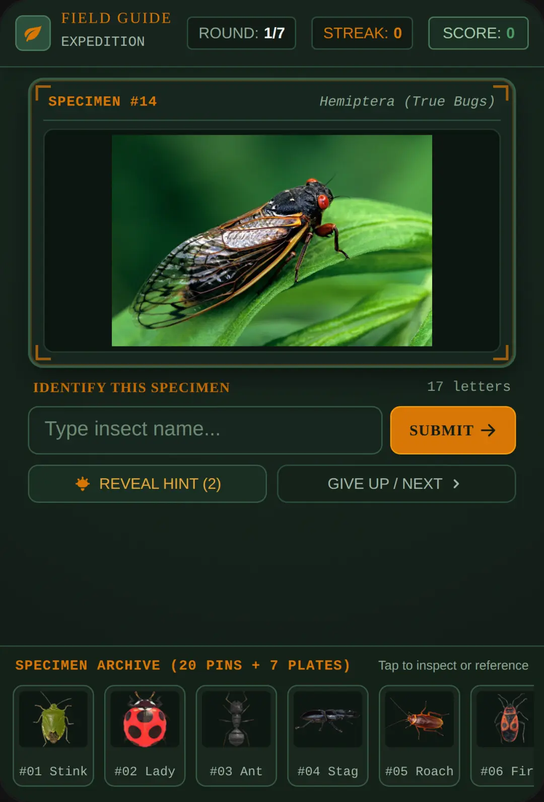 Entomology Field Guide: Insect Identifier cover