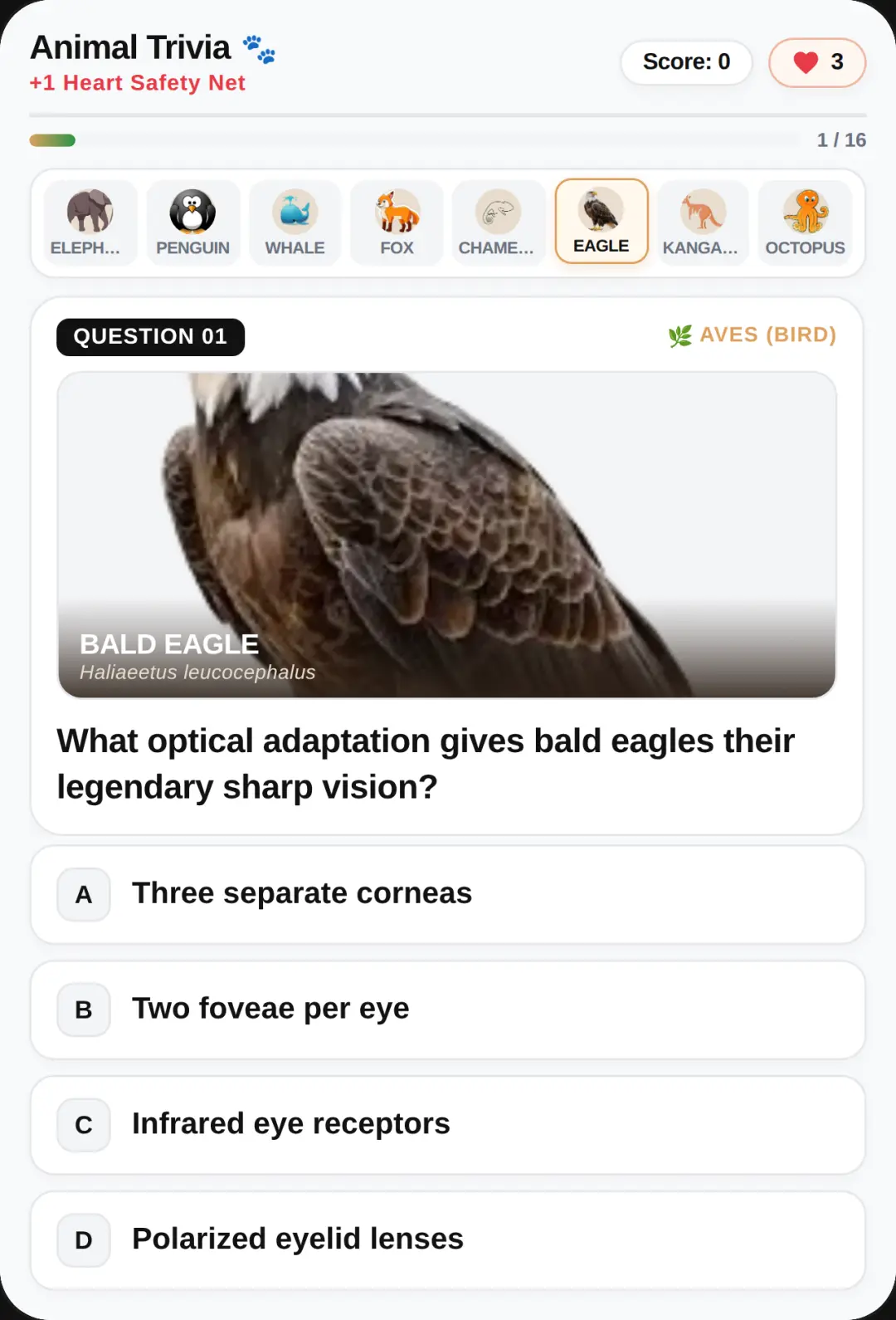 Animal Trivia — Cozy Sanctuary cover