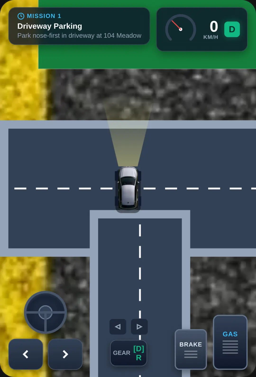 Realistic Suburban Driving Simulator cover