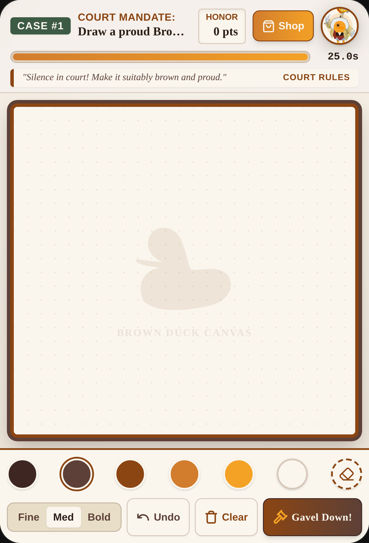 Judge Fluffy: Brown Duck Court cover