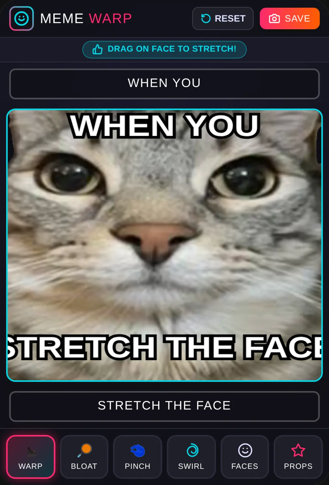 Meme Face Stretcher cover