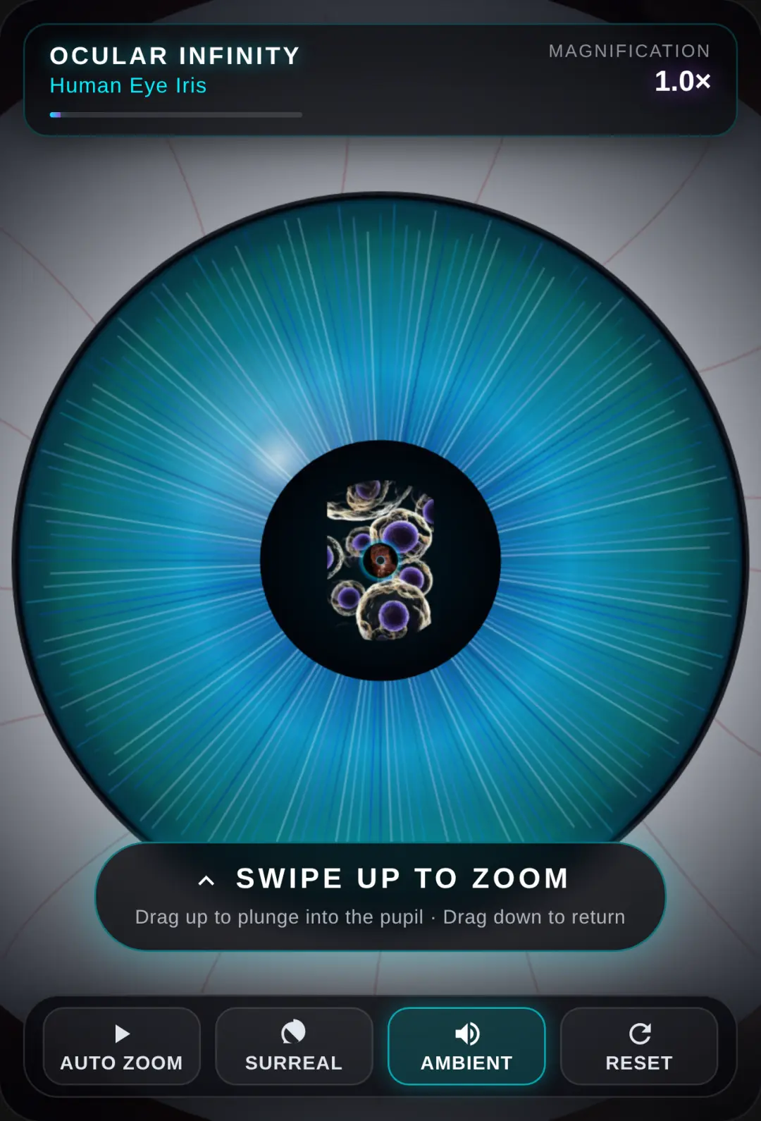 Ocular Infinity - Infinite Eye Zoom cover