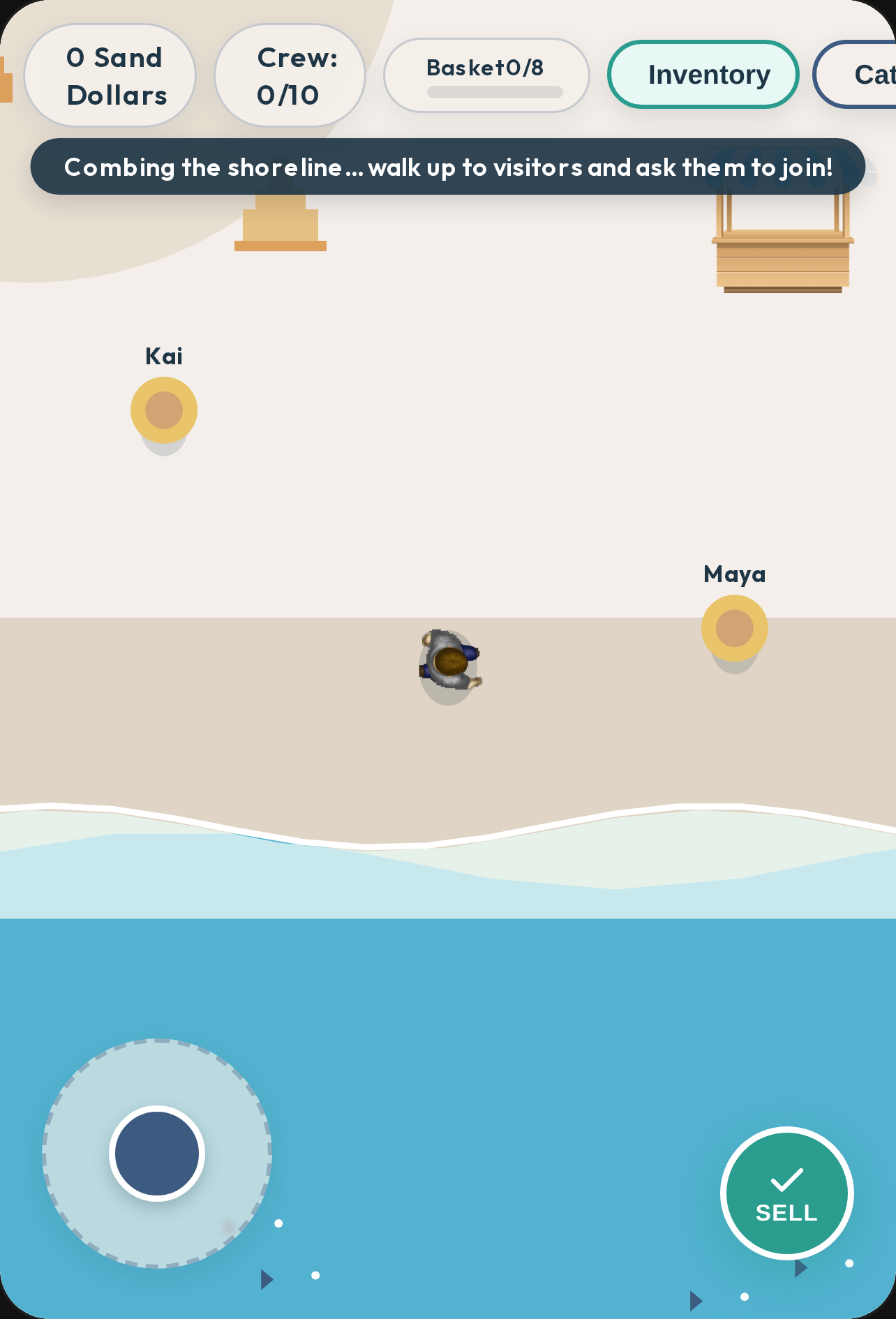 Coastal Beachcomber: Shell Collector cover