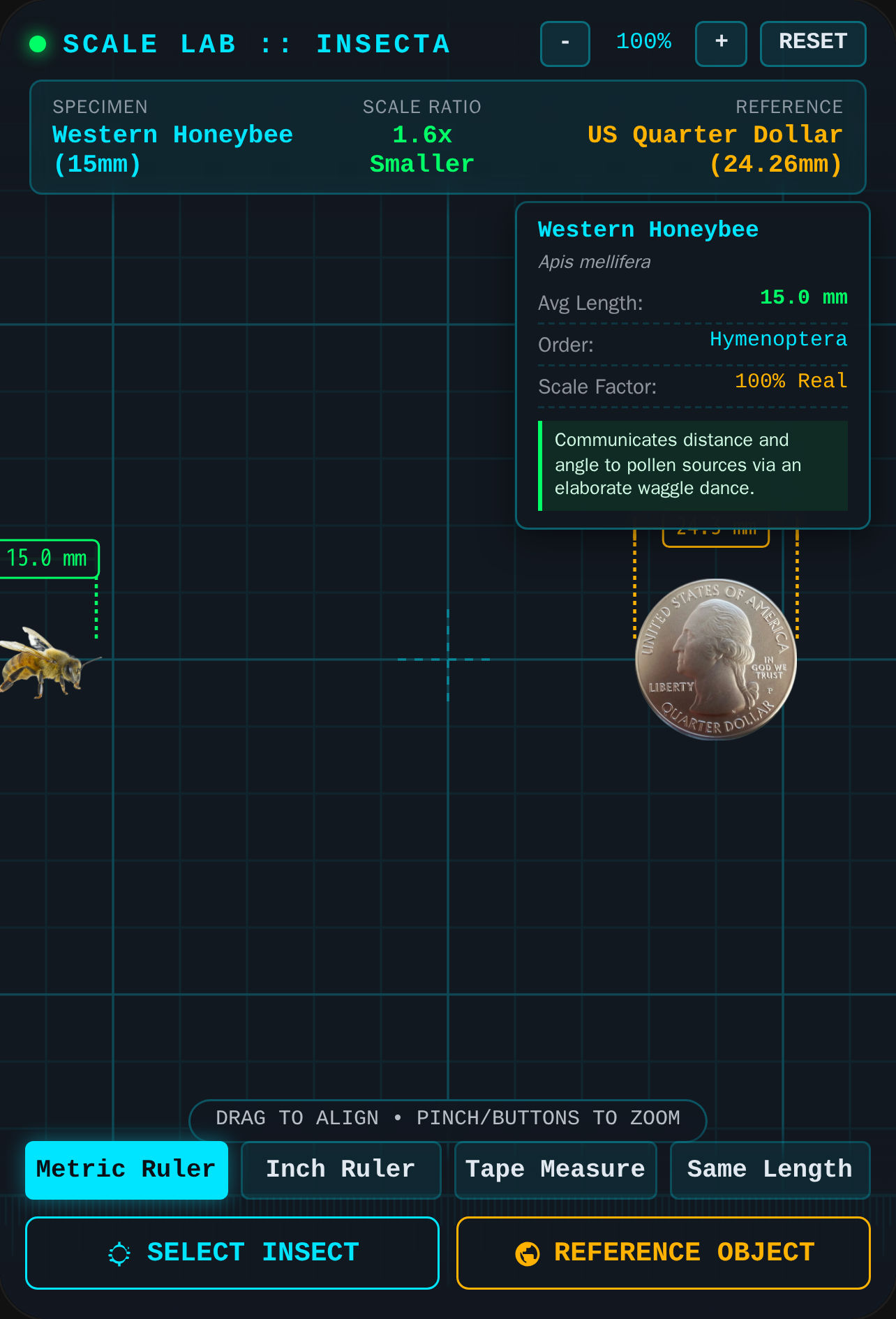 Insect Size Comparison cover
