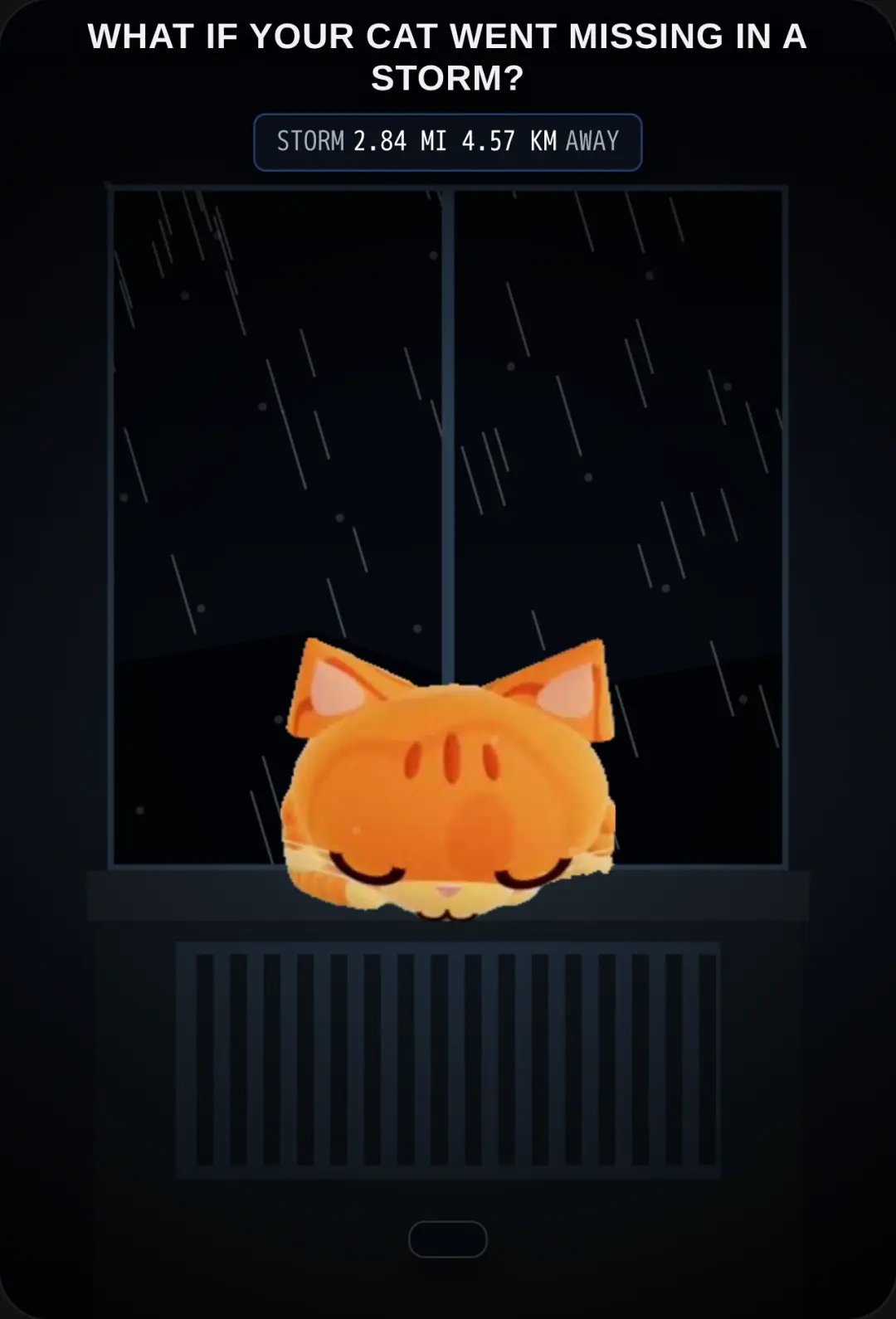 Lost in the Storm: POV Pet Rescue cover