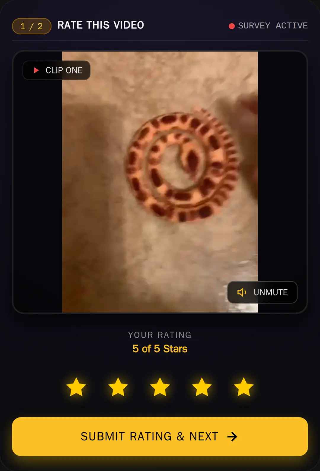 Who Likes My Snake? cover
