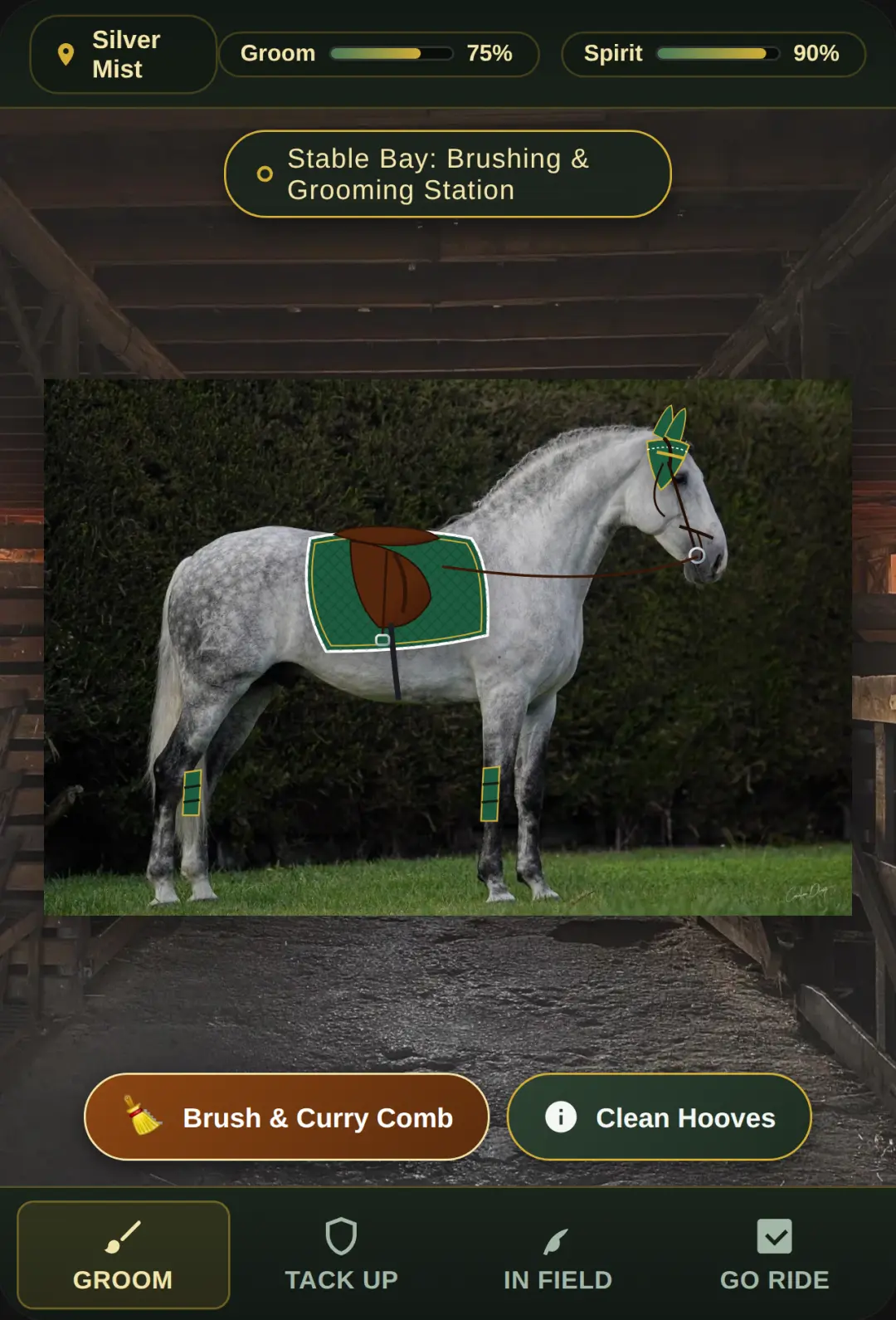 Equestrian Heritage: Dapple Grey Horse Care & Riding cover