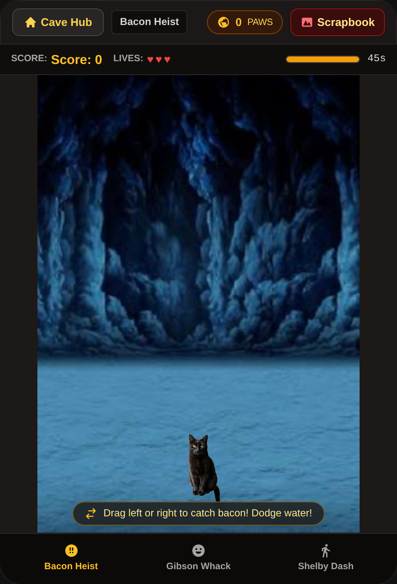 Steve Cash and Talking Kitty Tribute fan game cover
