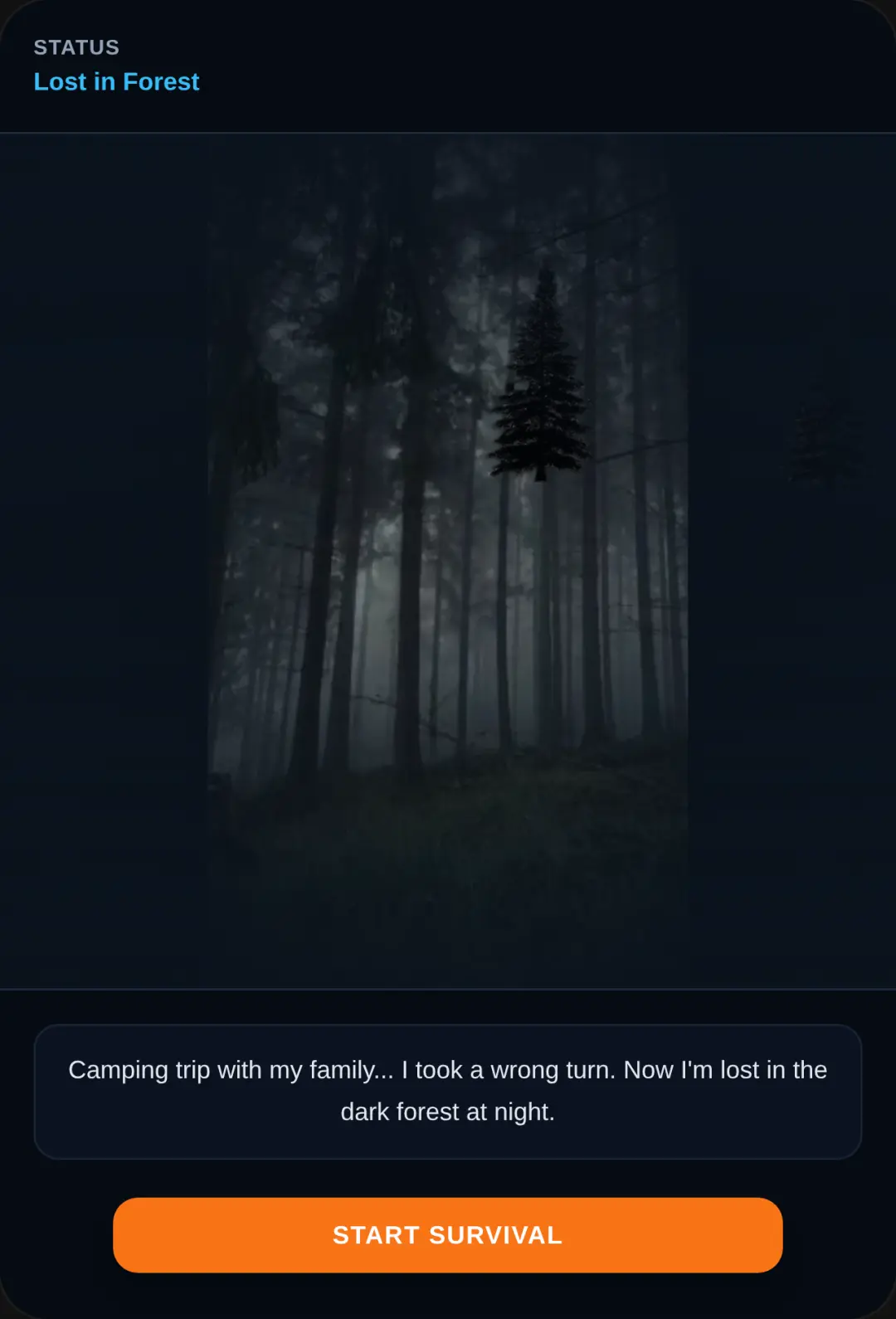 Lost in the Forest - Camping Adventure cover