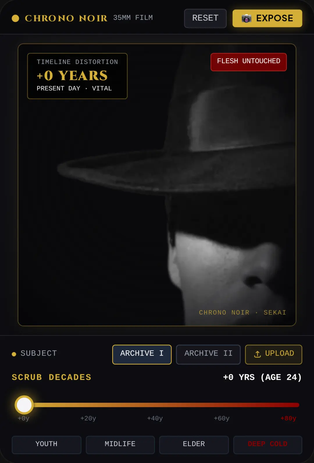 Chrono Noir - Cinematic Decade Aging cover