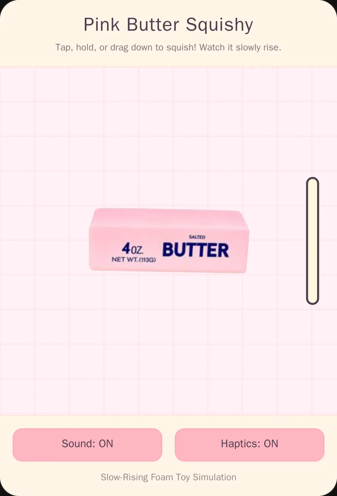 Pink Salted Butter Squishy cover