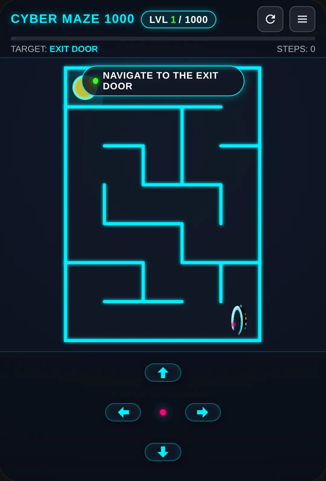 Longest neon maze cover