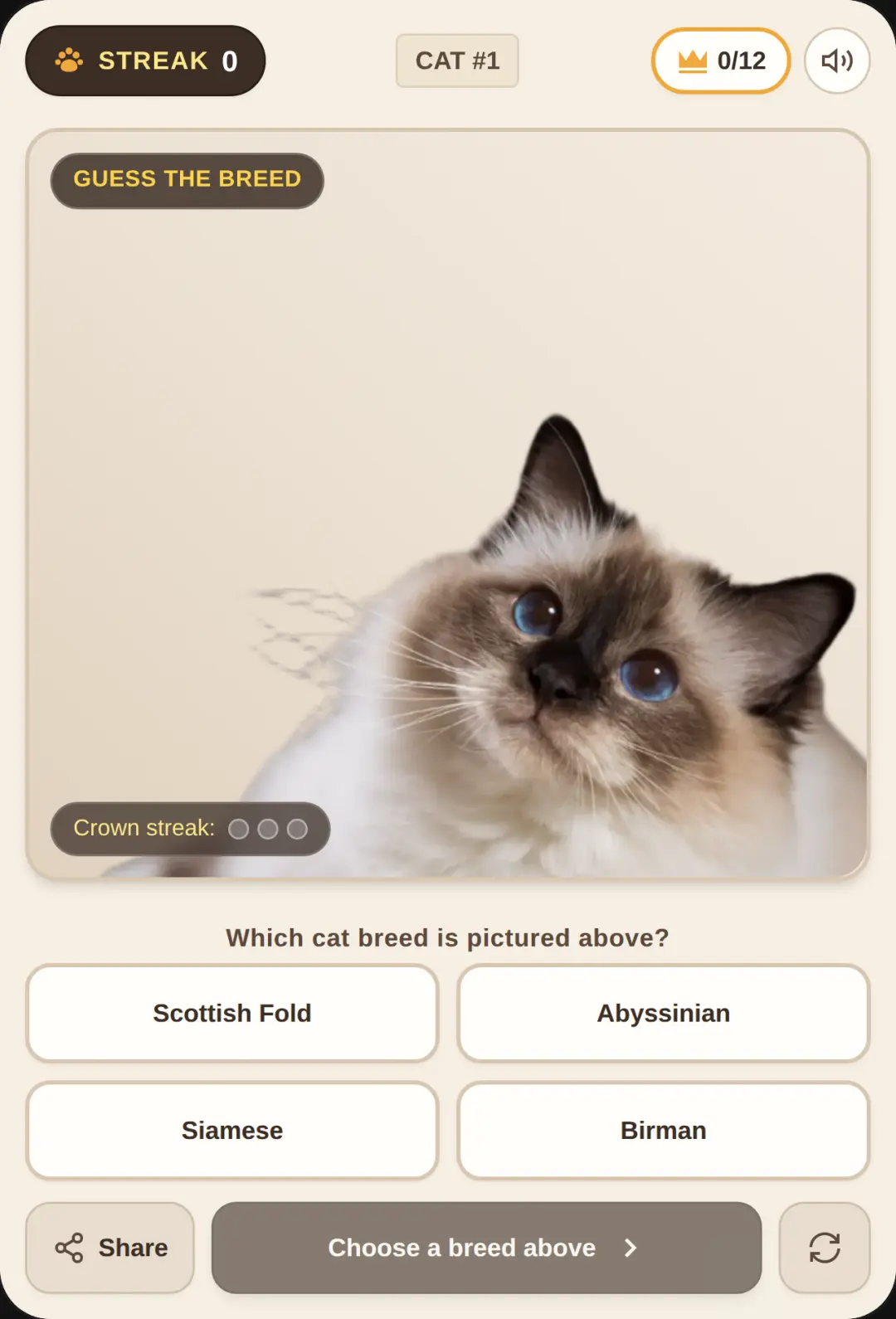 Guess the Cat Breed cover